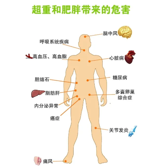 减肥黑科技——嫦娥爆脂机器人要你好看!(图1) 8f5ad32e112c4ce83ed8e7355d41b5a6.png